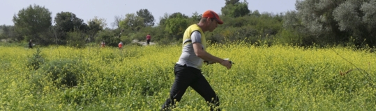 תמונת ארוע ניווט